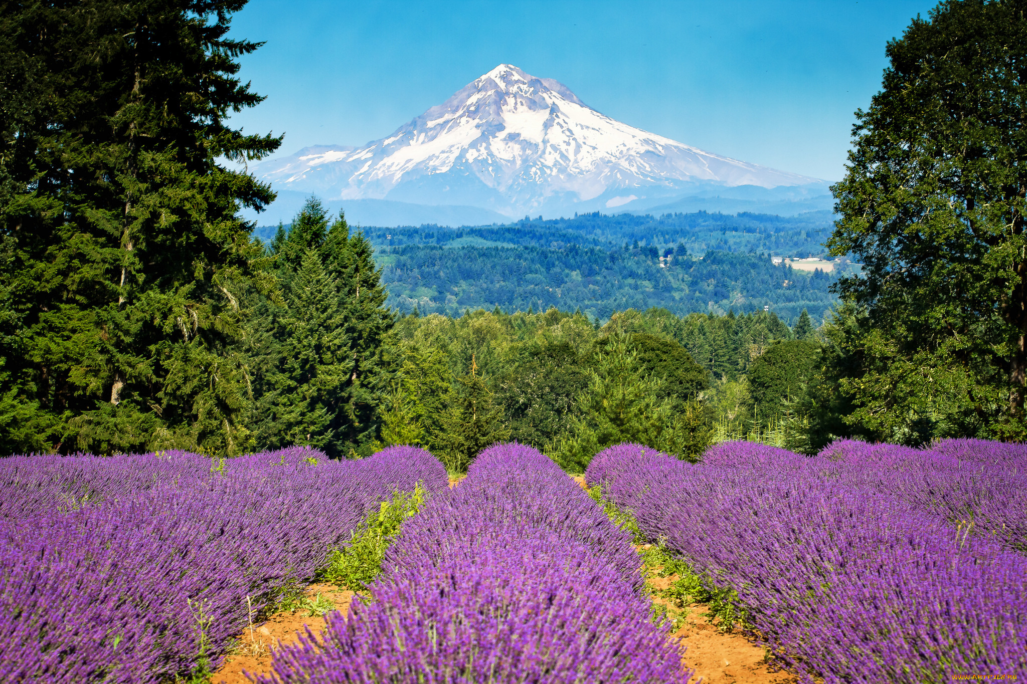 portland, oregon, , , , , , mount, hood, , , 